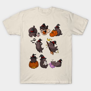 Cute Kittens - Halloween T-Shirt